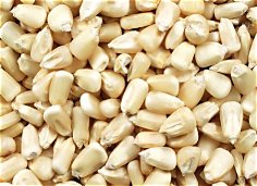 Mchinji Farm - Grains & Legumes