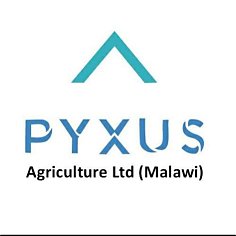 Pyxus
